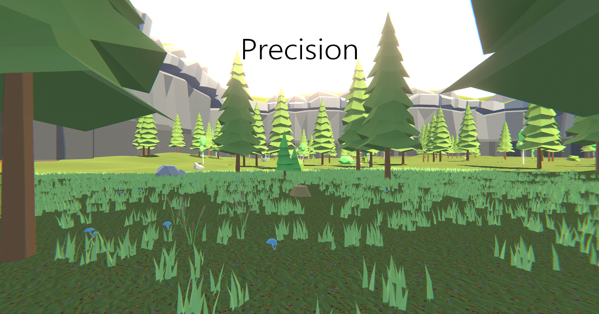 Image Precision